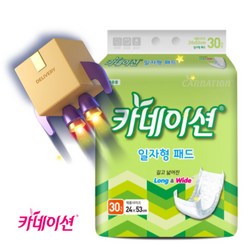 카네이션 속기저귀 일자형 240매 성인기저귀, 1box, 24X53cm, 240개입