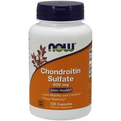 NOW Supplements Chondroitin Sulfate 600 mg (a Glycosaminoglycan) Joint Health* 120 Capsules null, 120정, 1개