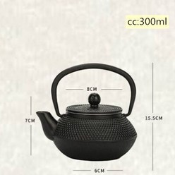 Cast Iron Tea Pot Stainless steel filter Teapot for Boiling Water Oolong [C00044127], 03-300ml-44127, 상품 상세페이지 참조