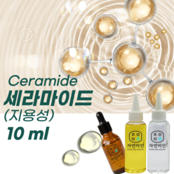 에코문 세라마이드(지용성) 10ml / (기능성첨가물)