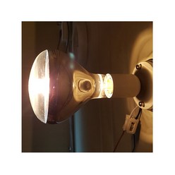 포커스 적외선 램프 185W E26 열전구 난방램프, 포커스적외선램프185W, 1개