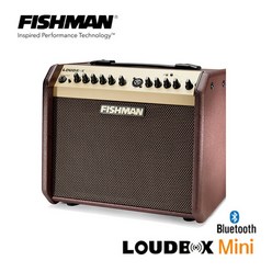 Fishman Loudbox Mini BT 피쉬맨 블루투스 기타앰프