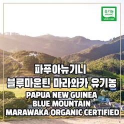 (커피생두) 216 파푸아뉴기니 블루마운틴 마라와카 유기농 1kg