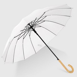 자동 장우산