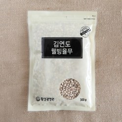 [김연도혼합곡] 웰빙 율무 300g x 5봉, 5개