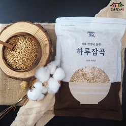 고군명가 1893 하루잡곡 국내산 발아 황금찰보리 800g 정성을 다한 잡곡 영양만점, 1개