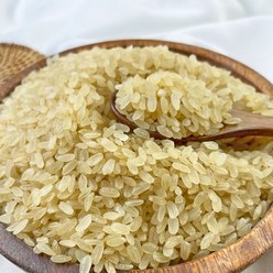 힘찬농부오달봉 국산 찹쌀찐쌀 올벼쌀 올기쌀 찐쌀, 500g, 1개