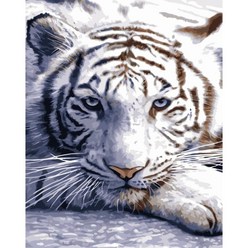 대형 모모픽스페인팅 백호 호랑이 60x75cm 범 강한 파워 동물 성공을 부르는 유화그리기 그림