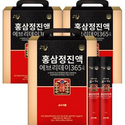 순수식품 홍삼정진액 에브리데이 365 스틱, 10g, 300개