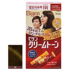 동아제약 비겐크림톤 소용량 40g 1통 염색약 멋내기염색약, 3G