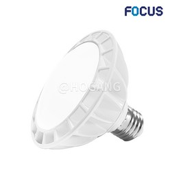 포커스 LED PAR30 15W, 주광색[흰색빛], 신광LEDPAR30 15W확산, 1개