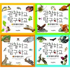 이노플리아 관찰하고 탐구하고 SET 전4권, One color | One Size@1