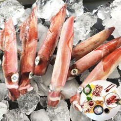 한치회