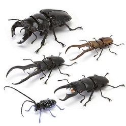 생물대도감 도마뱀 곤충 미니 가챠 캡슐토이 프리미엄 피규어, 공식 품질 보증, 무당벌레