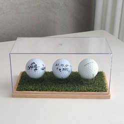 골프공전시 케이스 골프기념품 골린이 라운딩선물, 잔디케이스 소형 그린형