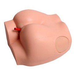 엉덩이 주사 실습 모형 인체모형 간호사 의료 교육