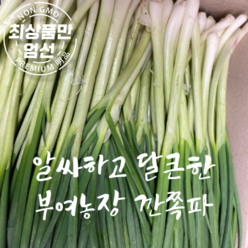 국산 알싸한 깐쪽파 김장용 손질 깐 쪽파 1kg, 1박스