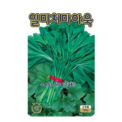 아욱씨앗 20g 치마아욱 씨앗 대장 KS종묘, 1개