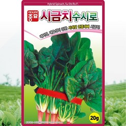 솔림텃밭몰 아시아종묘 시금치씨앗 20g 수시로시금치 연중재배 내서성 씨앗, 1개