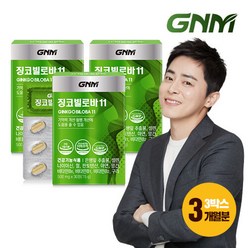 GNM자연의품격 GNM 징코빌로바11 3박스 / 은행잎추출물 비타민B 아연 판토텐산, 30정, 3개