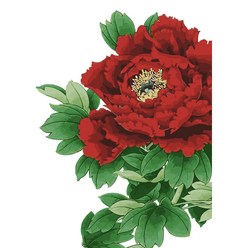 모모픽스페인팅 DIY명화그리기 40x50cm, 붉은색 목단꽃