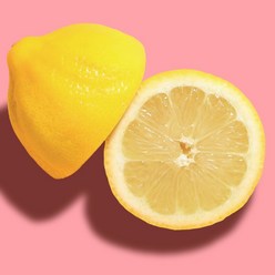 팬시 레몬 최상급 1kg, 100g 내외, 10개