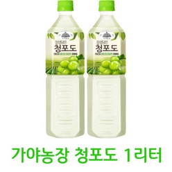 웅진 가야 청포도 주스 1L x 12개