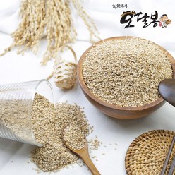 힘찬농부 인도산 참깨 생참깨 통참깨, 1개, 3kg