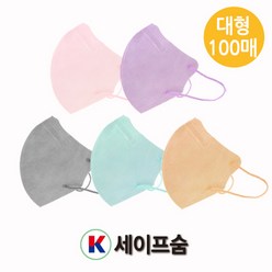 K세이프숨 새부리형마스크 대형 100매 (핑크 바이올렛 민트 그레이 스킨 20매씩), 핑크