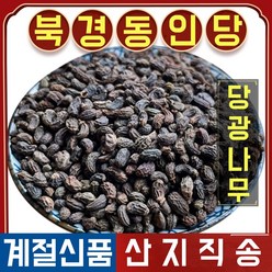 북경 동인당 야생 당광나무 한방차 한방재료 500g, 4개