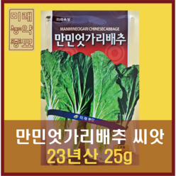 미래종묘 만민 엇갈이배추 씨앗 (25g) - 23년생산