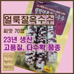 웰빙 얼룩찰옥수수 씨앗/국내산 찰옥수수-23년생산 70립 (소독필), 1개