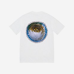 Supreme 슈프림 반팔티 남자 여자 상의 블로우피쉬 티셔츠 화이트 - 23SS B로우fish T-Shirt White