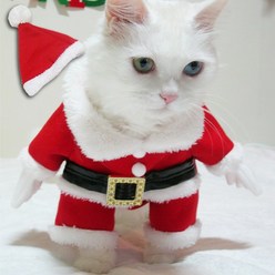 미얌 직립보행 산타 코스프레 의상 강아지 고양이 특이한 옷, 빨강
