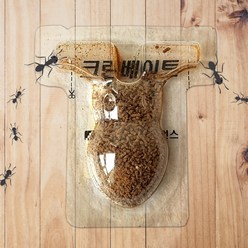 개미약 크린베이트앤트 과립형 개미퇴치 살충제1g5개, 1set, 1g