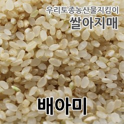 2023년 무농약 당일도정 배아미 7분도미 국산 쌀아지매, 1개, 1kg