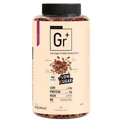 그라놀로지 Gr플러스 저당 프로틴 그래놀라 베리, 340g, 1개