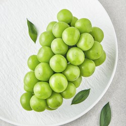 [로켓프레시] 영길팜 당도선별 샤인머스캣, 500g, 1개