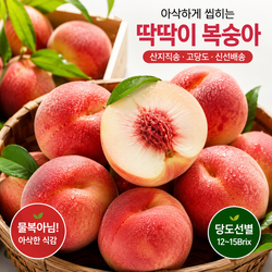 청도 아삭달콤 딱딱이 복숭아 4kg, 1박스, 4kg대과(14과)