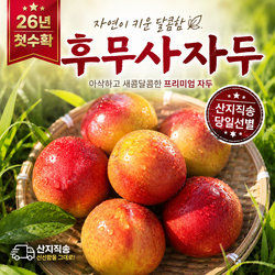 후무사 자두 고당도 프리미엄, 1박스, 2kg
