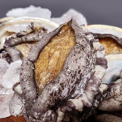 [바다농장] 산지직송 완도활전복, 1개, 2kg(특대 8~9미) 총16~18마리
