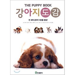 반려견책