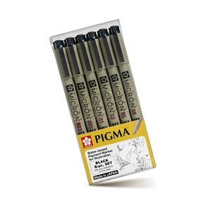 PIGMA 사쿠라 마이크론 블랙라벨볼펜 6p 세트