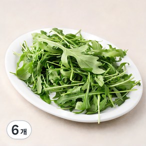 국내산 와일드 루꼴라, 50g, 6개