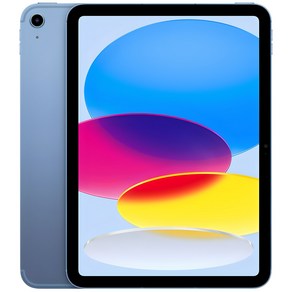 Apple 정품 2022 아이패드 10세대, 블루, 64GB, Wi-Fi+Cellula