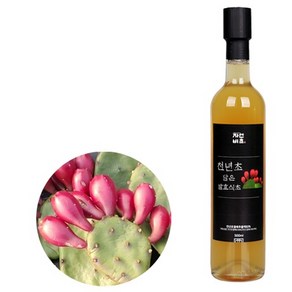 자연비초 천년초담은 발효식초, 1개, 500ml