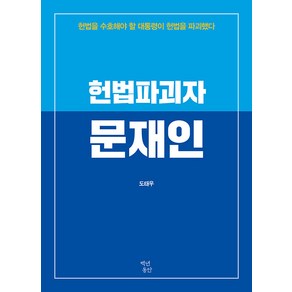 헌법파괴자 문재인:헌법을 수호해야 할 대통령이 헌법을 파괴했다, 백년동안, 도태우