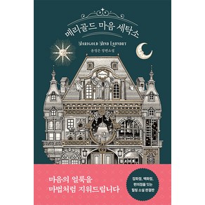 [북로망스]메리골드 마음 세탁소, 북로망스, 윤정은