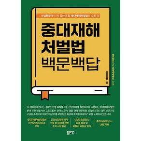 중대재해처벌법 백문백답:산업현장에서 꼭 알아야 할 중대재해처벌법의 모든 것, 법무법인YK 중대재해센터, 좋은땅