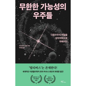 무한한 가능성의 우주들:다중우주의 비밀을 양자역학으로 파헤치다